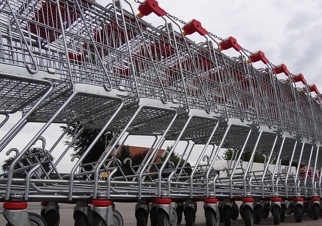 Auchan : Un géant de la distribution face aux mutations du commerce